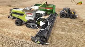 Wheat harvest 2022 Grain harvest Combine harvester CLAAS Lexion tractor Fendt Contractors Agricul...