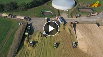 Major use of corn chopping 2020 - 3500 ha corn harvest 20 Claas tractors / chopper farmer corn ha...