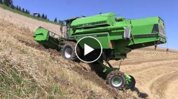 Thresher stuck | Grain harvest at the limit | Wheat harvest extreme