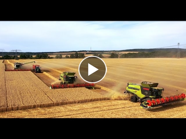 CLAAS LEXION 795 TT Grain Harvester - RDZ Machines