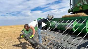 Bulldozing Wheat & Gymnastics! Montana Farming 2022