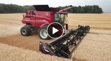 VanMeer Farms Wheat Harvest 2020