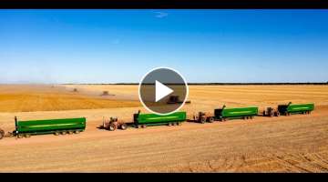 Erangy Farms taking off a bumper crop with four 45' headers (combines) in the Mid West of WA.
