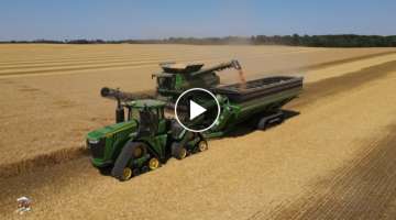 Wheat Harvest at Crossroad Farms in Indiana
