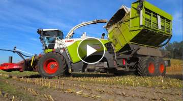 Maize harvest | Claas 980 Field Shuttle | New Holland T7.270 Blue Power Tractoren - DeBruyne