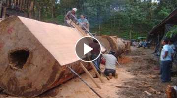 This monster wood sawmill machine is INCREDIBLE. Amazing firewood processor & wood cutting equipm...