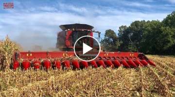 2019 Corn Harvest 16 Rows At a Time: Case IH 9240 Combine