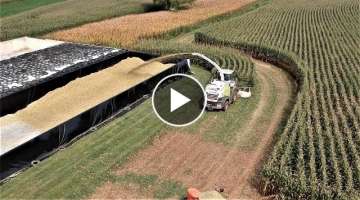 Corn Silage Harvest Efficiency