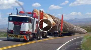 Dangerous Fastest Crazy Logging Wood Truck Operator, Heavy Equipment Chainsaw & Wood Sawmill Mach...