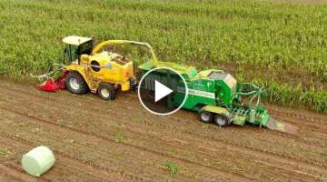 Maize Chopping Baling and Wrapping in one pass | New Holland FX60
