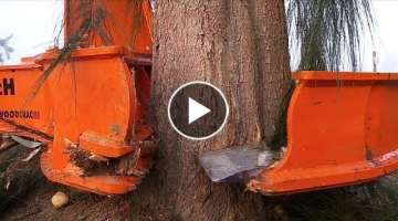 Dangerous Biggest Tree Cutting Long Reach Excavator Skill , Tree Harvesting Machine Heavy Equipme...