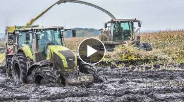 JOHN DEERE tractors in the mud | mud fight | corn chaff | Claas Jaguar | Fendt tractors