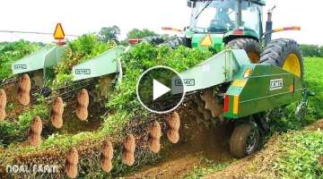 Peanut Harvesting Machine - How to Harvest Peanut in Farm - Modern Agriculture Technology