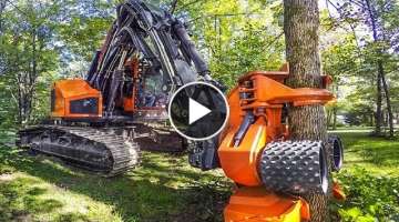 Powerful Big Tree Harvester Working, Amazing Giant Excavator Cutting Tree, Fast Tree Removal Mach...